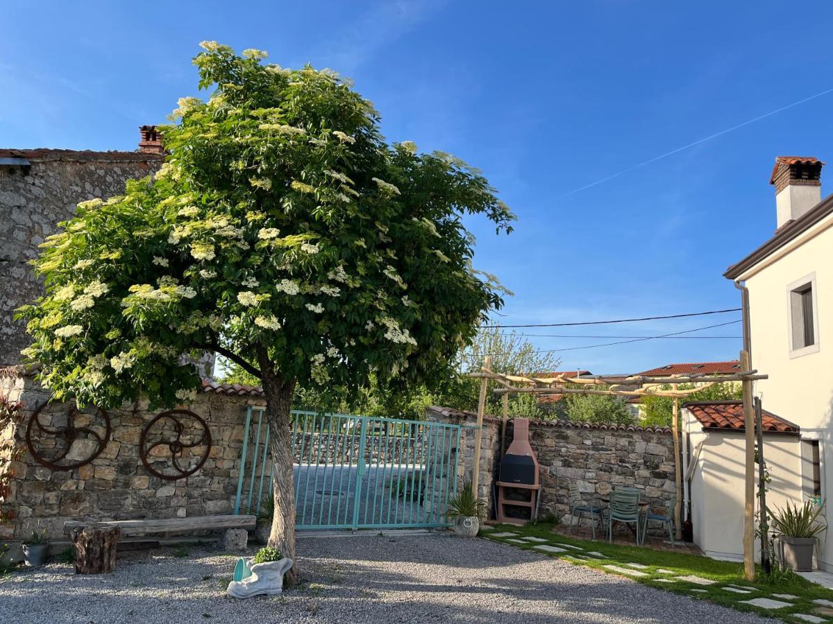 Apartma Ob Stari Murvi, Sežana מראה חיצוני תמונה